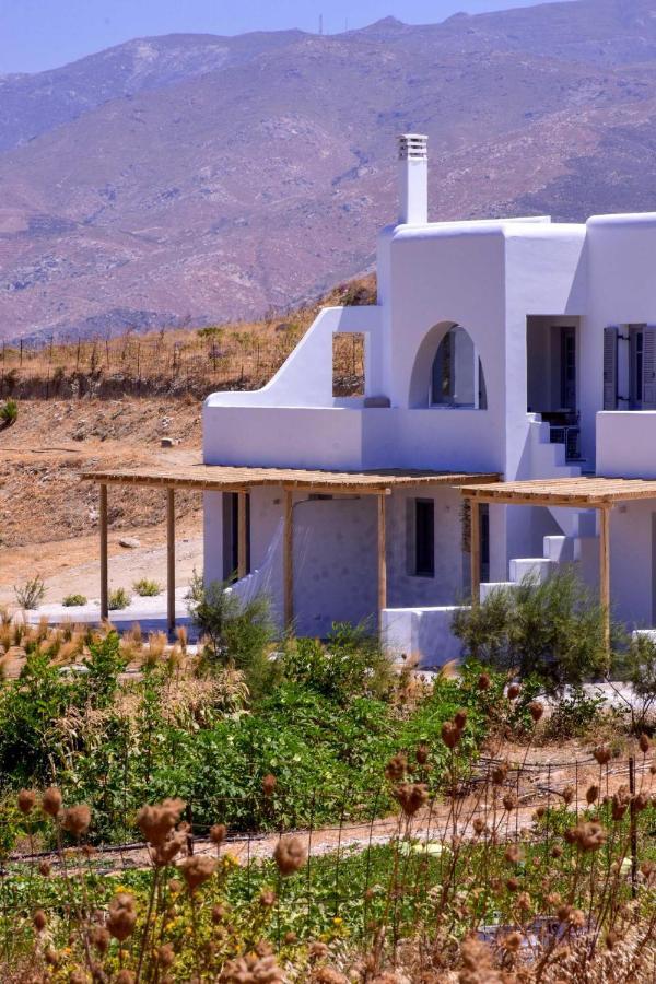 갈리니 Relaxia Estate Naxos 아파트 외부 사진